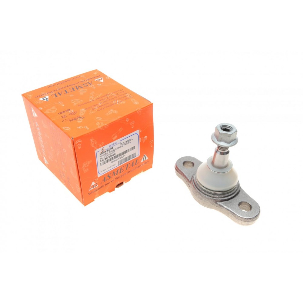 10HY3200 ASMETAL Шарнір незалежної підвіски поворотного важеля