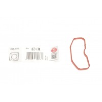 225.170 ELRING Прокладка впускного колектора