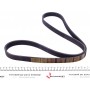 Ремінь генератора Citroen Berlingo/Fiat Scudo 1.9D (6PK1438)