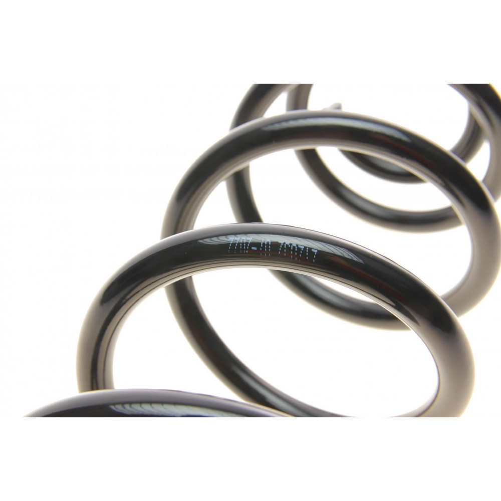 Пружина (задня) VW Golf V/VI 1.2-1.4TSI/1.4-2.0FSI/1.9-2.0TDI 03-13/Skoda Rapid 12-19 (нахилен.з.ч.)