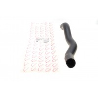 Патрубок інтеркулера (L) Dacia Duster/Logan 1.5dCi 07-