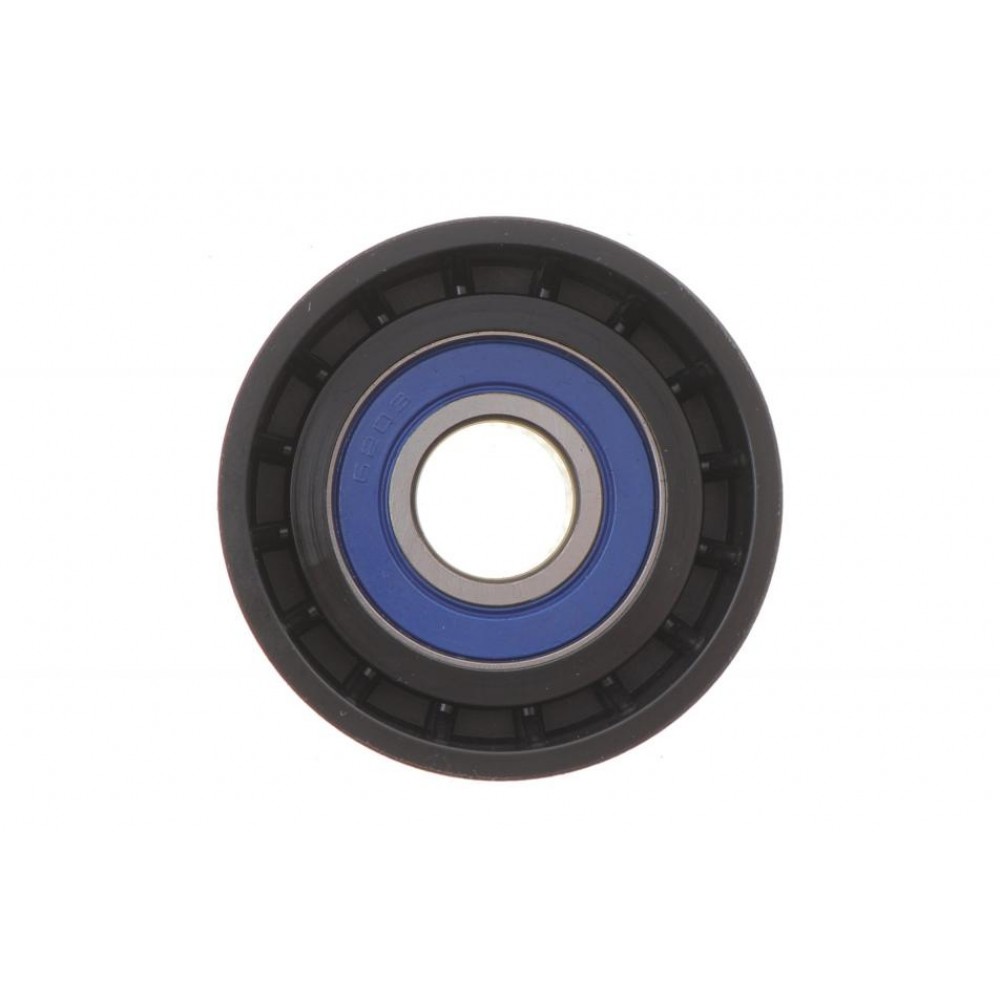 Ролик генератора Renault Trafic/Master 1.9-2.5DI/dTi (паразитний) (60х31) (підшипник PFI)