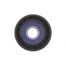 Ролик генератора Renault Trafic/Master 1.9-2.5DI/dTi (паразитний) (60х31) (підшипник PFI)