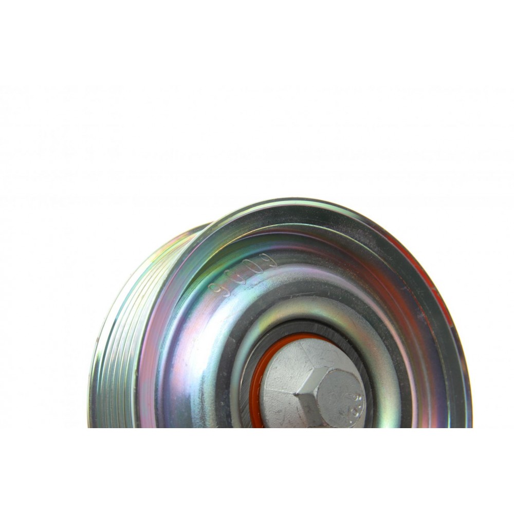 Ролик генератора Citroen Jumper/Peugeot Boxer 14- (паразитний)(всередині OE PSA)