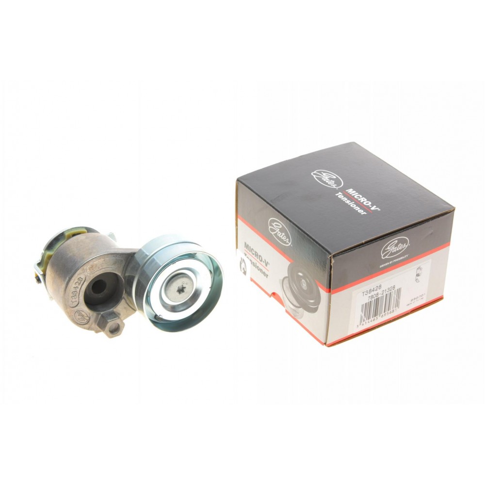 Натяжник ременя генератора Renault Scenic/Megane II/III 1.9dCi/2.0 16V 03-