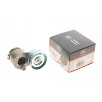 Натяжник ременя генератора Renault Scenic/Megane II/III 1.9dCi/2.0 16V 03-