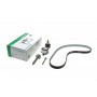 530059211 ina 530 0592 11_ремкомплект грм!_ audi a3/q3, vw golf,