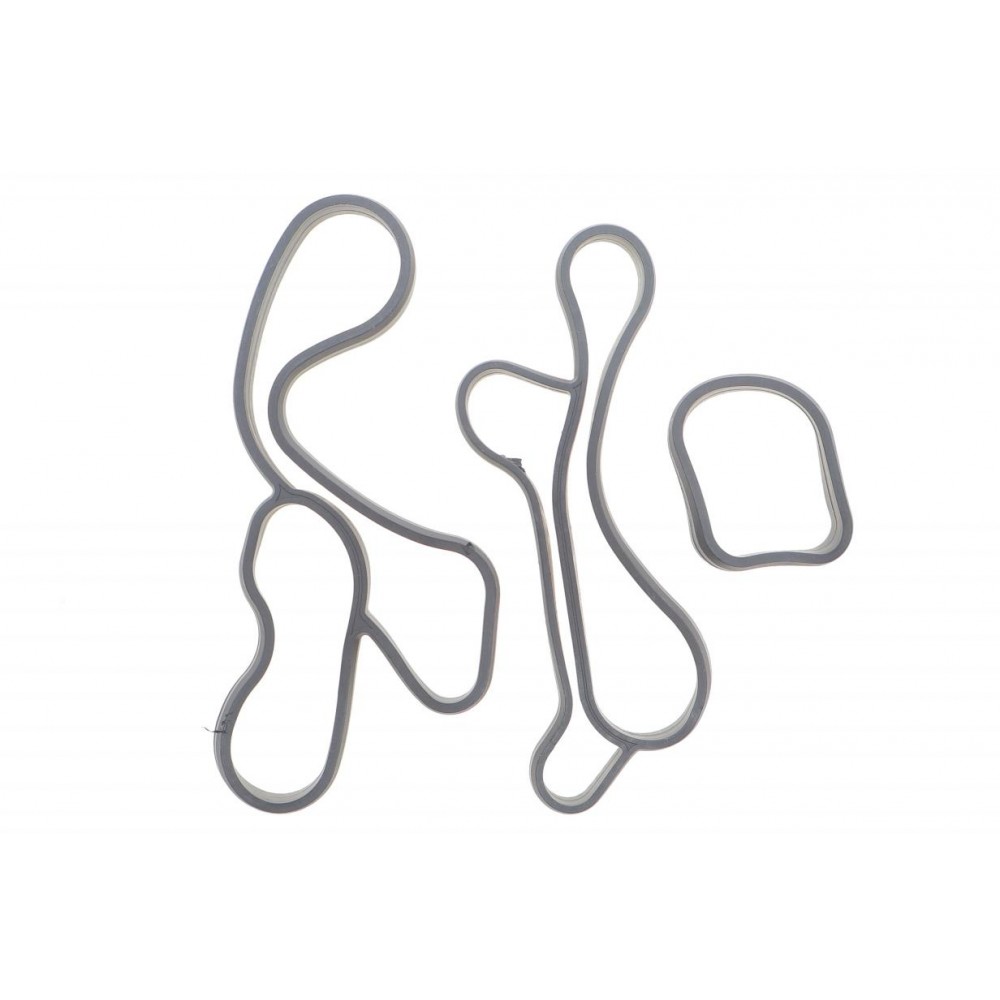 Прокладка радіатора масляного BMW 3 (G20/G80/G28)/5 (G30/F90)/7 (G11/G12) 15- (к-кт) B46/B47/B48