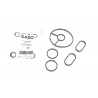 Прокладка радіатора масляного Citroen Jumpy/Fiat Scudo/Peugeot Expert 2.0 HDI 07-16 (к-кт)