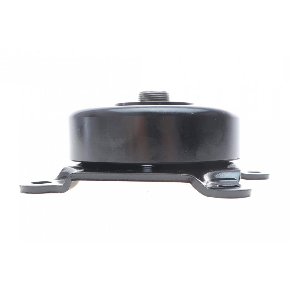 Натяжник ременя генератора Citroen Jumper 2.2HDI/Ford Transit 2.2DI 06- (+AC)