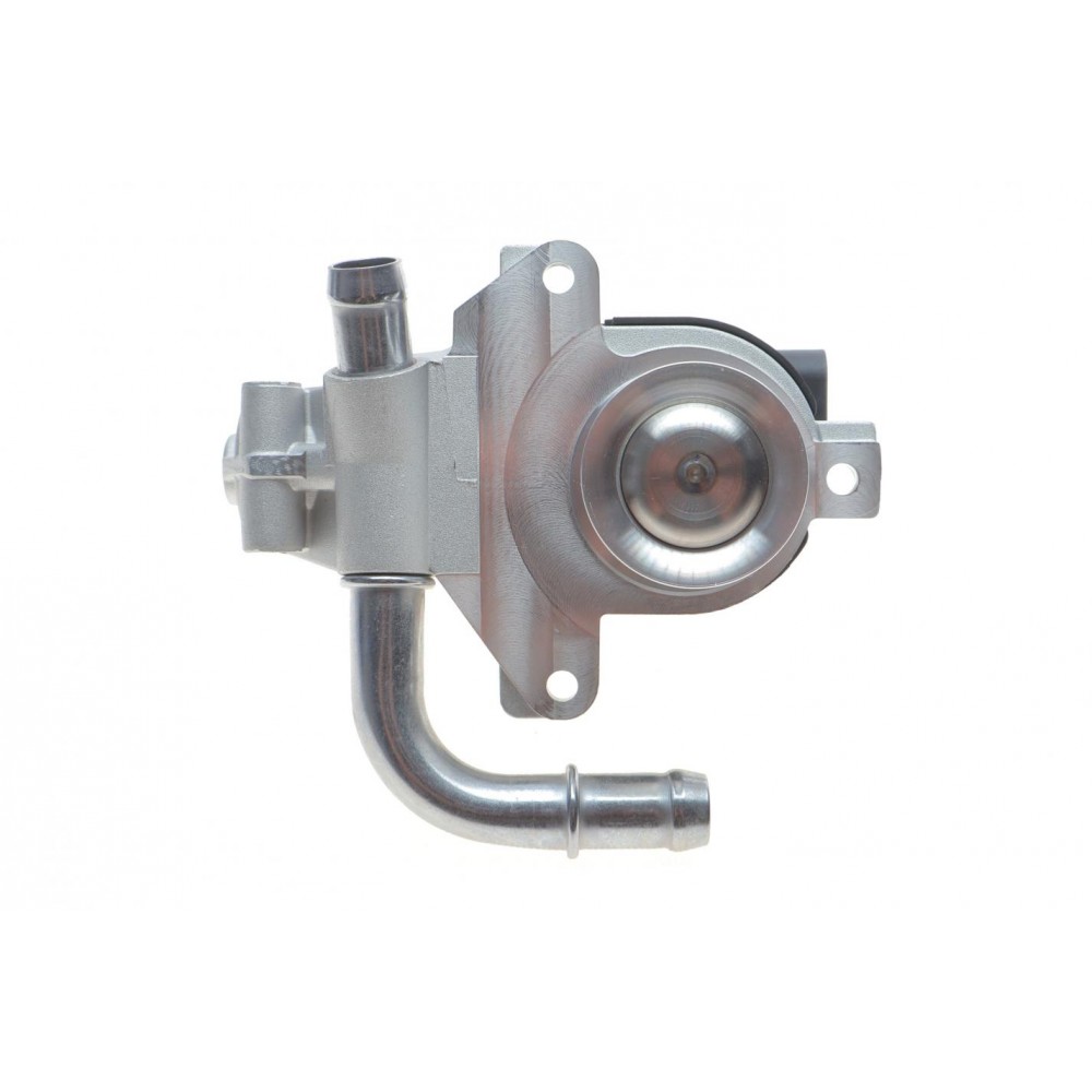 Клапан EGR Renault Kangoo 1.5 dCi 08-