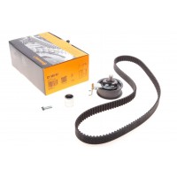 Комплект ГРМ Audi A3/A4/A6/TT/Skoda Octavia/VW Golf 1.8T 96-10 (23x150z)