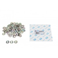 763.620.100 FA1 Шайба тепловий захист система вприскування