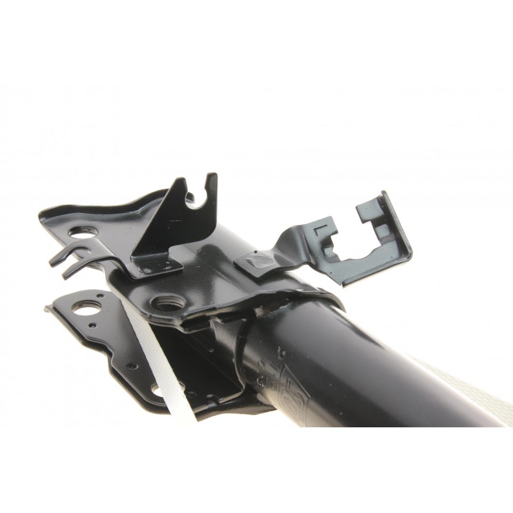 Амортизатор (передній) Renault Koleos 08- (L)