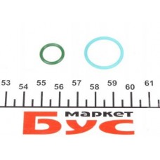 455.290 ELRING Комплект прокладок насос вприску