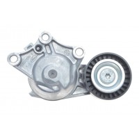 Натяжник ременя генератора Peugeot Partner/Citroen Berlingo 1.6HDi 10- (65x26)