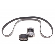 117202495R RENAULT Комплект ременя додаткового обладнання