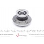 Підшипник маточини (задньої) Renult Megane/Scenic 99-03 (+ABS) (25x132.8x80)