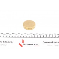 Заглушка блоку циліндрів (d=47mm) Латунь/Brass
