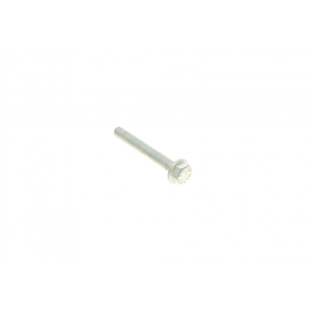 Болт (M8x1,25x60 мм)