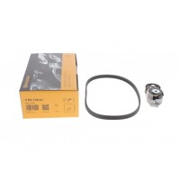 Комплект ременя генератора Ford Transit 2.0 TDCi 00-06