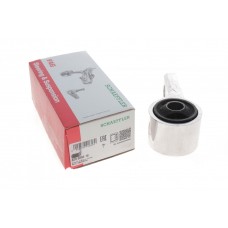 829 0255 10 FAG Підвіска важіль незалежної підвіски колеса