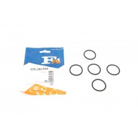 076.389.005 FA1 Ущільнювальне кільце, компрессор