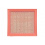 WA6305 WIX FILTERS Повітряний фільтр