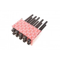 Комплект болтів головки циліндра ELRING 825.590