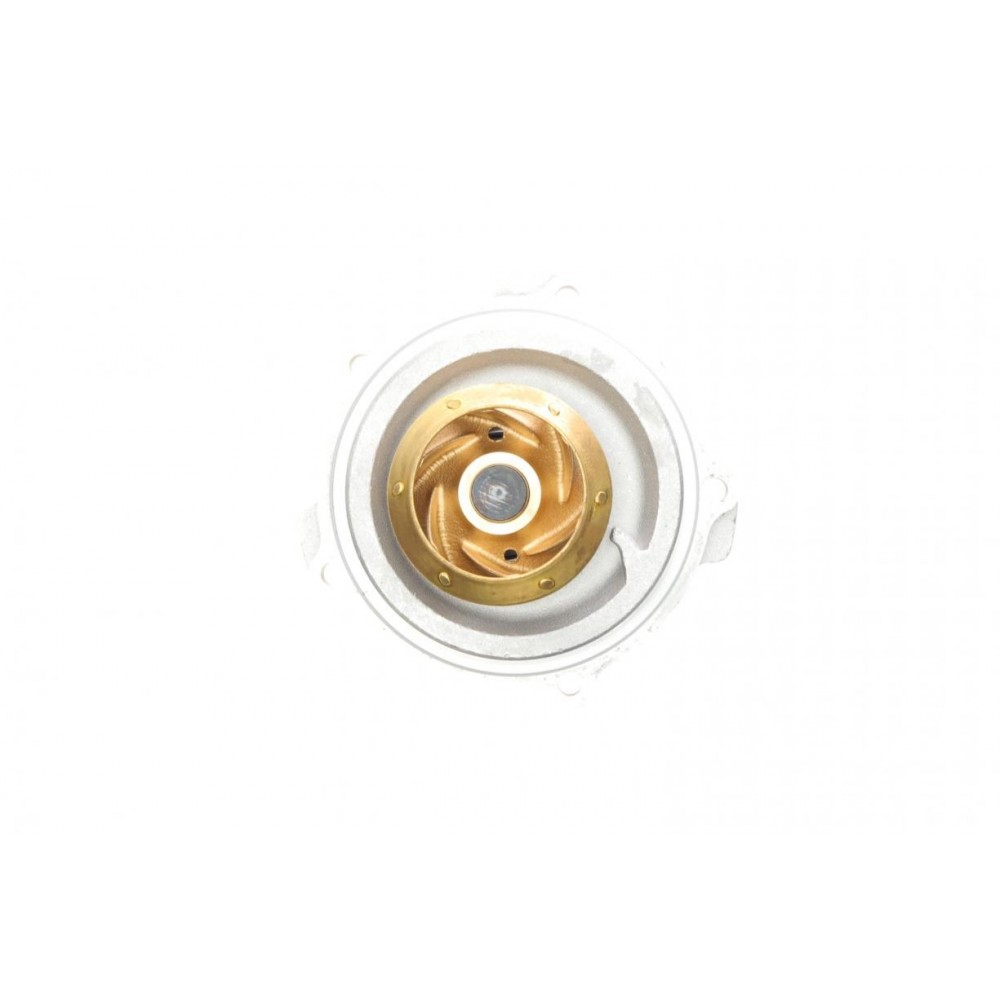 Помпа води Audi A4/A6/Skoda Felicia/VW Caddy/Passat/Polo 1.9D/TDI/SDI 95-/Polo 1.7SDI 97-01