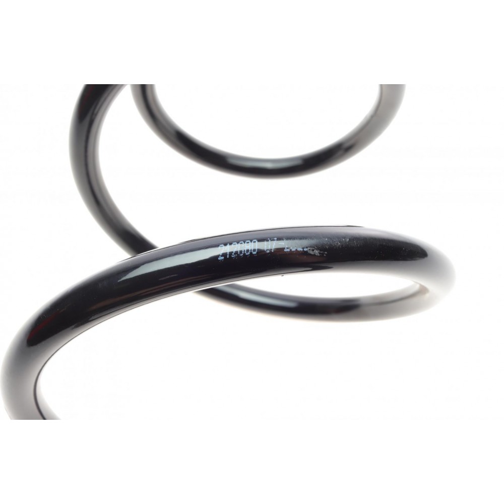 Пружина (передня) Renault Scenic II/Grand Scenic II 1.5dCi/2.0 03-10