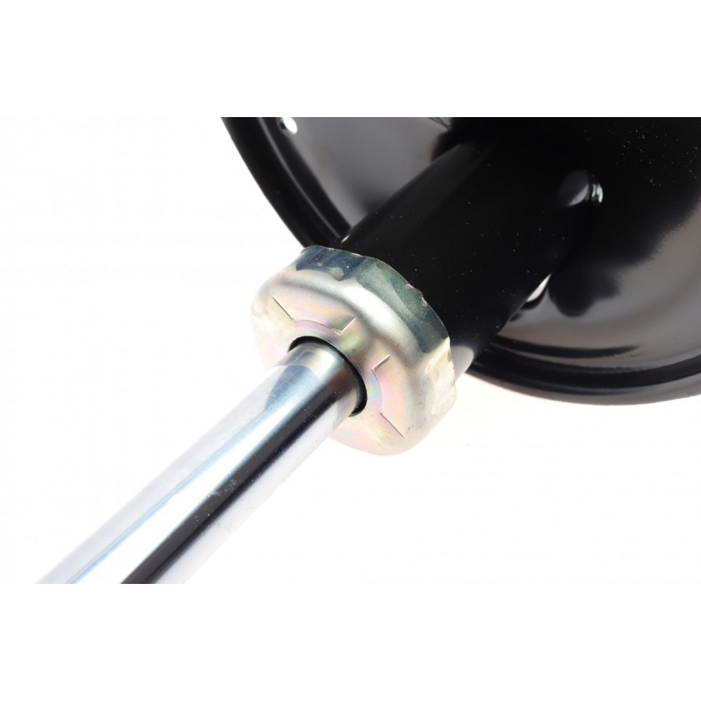 Амортизатор (передній) Toyota RAV4 00-05 (L)