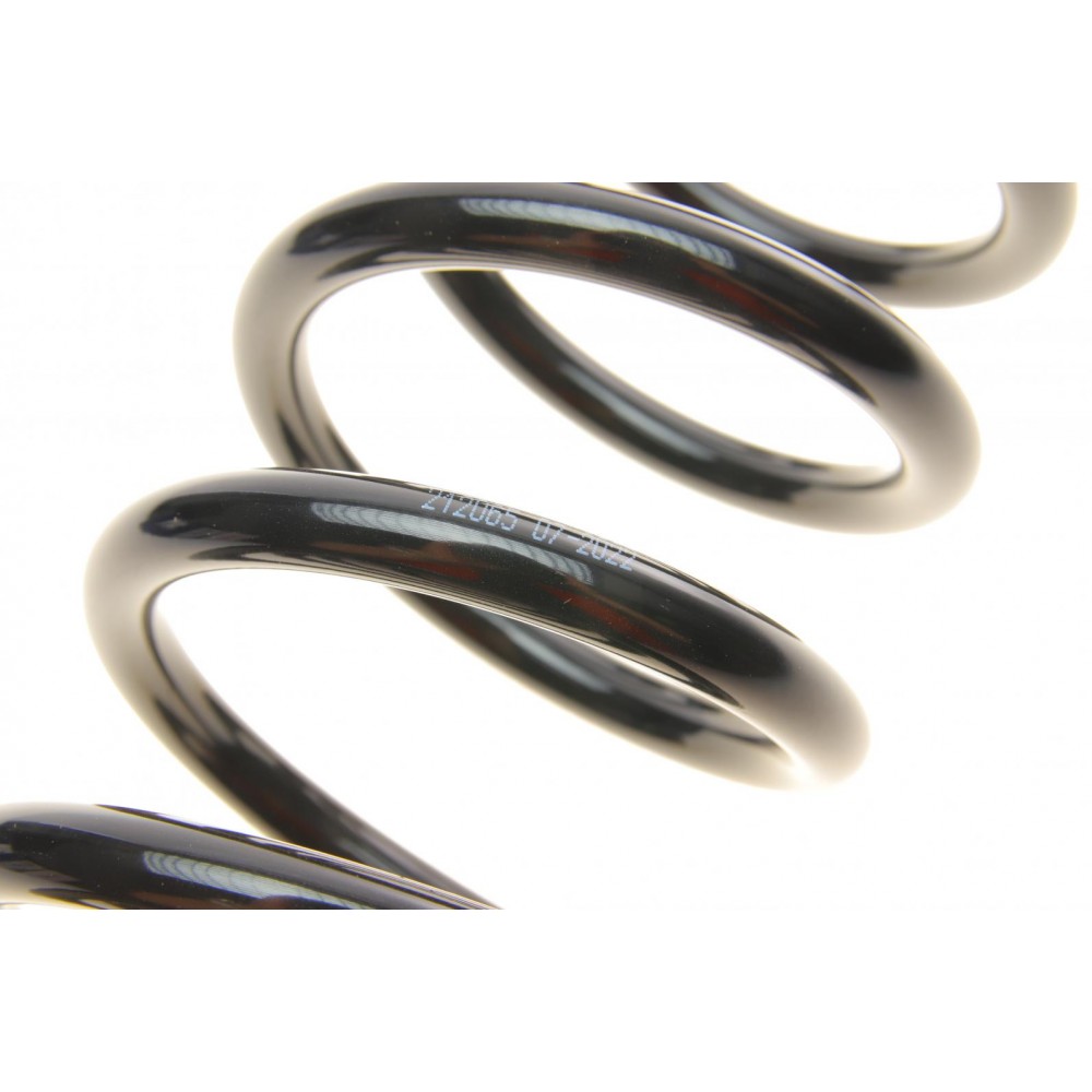 Пружина (задня) Dacia Logan/Renault Logan 1.4/MPI/1.5dCi/1.6/16V/BiFuel/MPI 04- (седан)