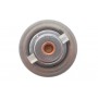 Термостат Mitsubishi L 200 2.5D 05-15/Renault Espace 3.0dCi 05- (82°)