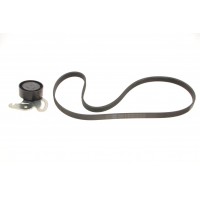 Комплект ременя генератора Renault Kangoo 1.5 dCi 01- (5PK1135)