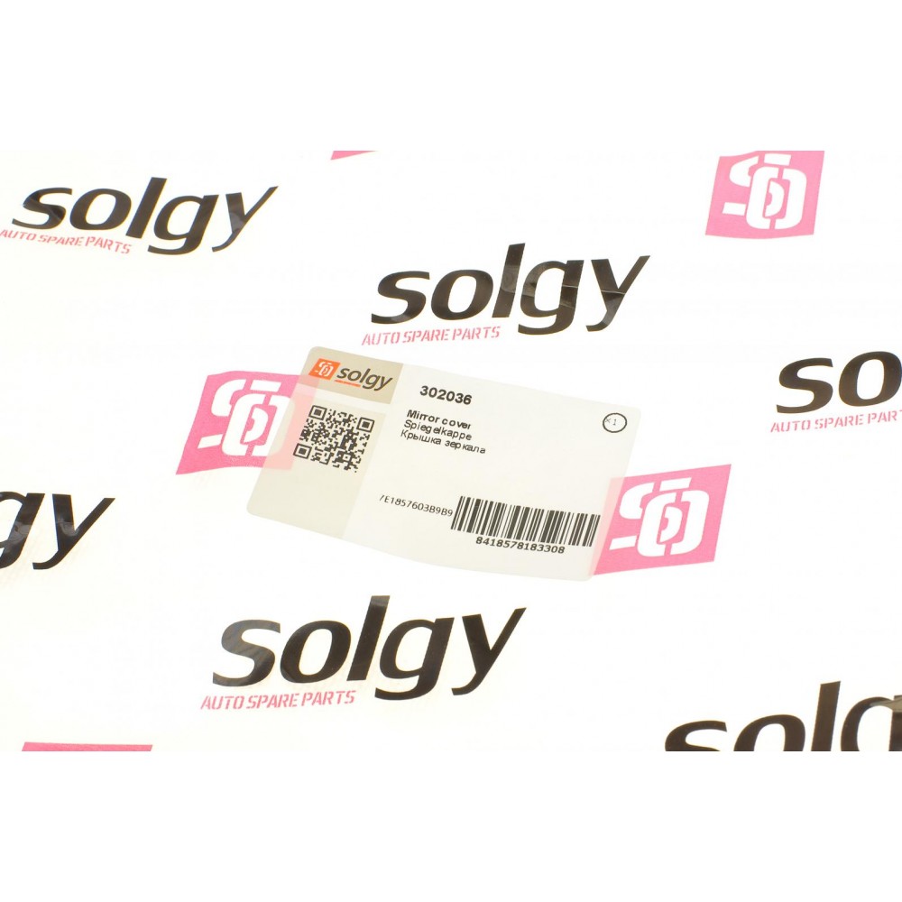 Кришка дзеркала (L) VW T6 15- (нижня)