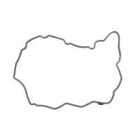 547.310 ELRING Прокладка, Кришка головки циліндра