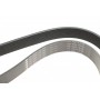 Ремінь генератора BMW 5 (G30/F90)/X3 (G01/F97) 16- B47 (8PK1162)
