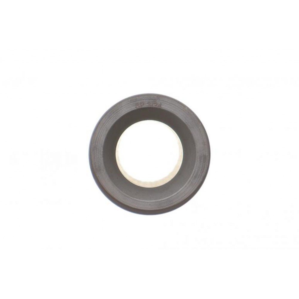 Поршень BMW X5 (E70/F15/F85) 3.0d (N57) 10-18 (84.25mm/+0.25)