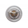 Термостат Renault Master 3.0dCi 04- (71°C)