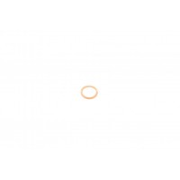 114.600 ELRING Ущільнювальне кільце, Різьбова пробка маслосливн. отверст.