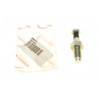 Палець (штифт) замка дверей (задніх) Fiat Ducato 94- (1335390080) (1301315080)