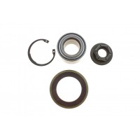 WBK-4538 KAVO PARTS Комплект підшипника ступиці колеса