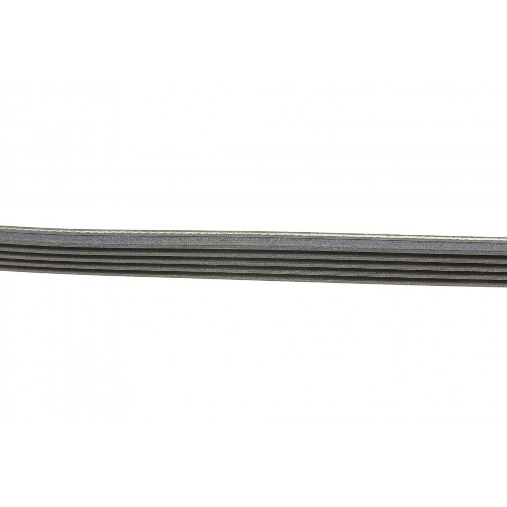 Ремінь генератора Renault Kangoo/Megane/Laguna 1.4/1.5 dCi/1.6 03-/Audi A6 4.2FSI 06-11