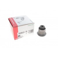 829 0419 10 FAG Підвіска важіль незалежної підвіски колеса