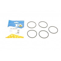 076.589.005 FA1 Ущільнювальне кільце