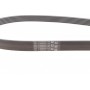 Ремінь генератора Audi 100 2.4D/2.5 TDI -94/Fiat Fiorino/Punto 1.3D 12-