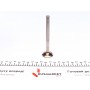 Клапан (випуск) VW Golf/Jetta/Polo/Vento 1.0/1.3/1.3D/1.4D 81-99 (28.9x8x99.1) (азотовані)