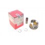 028 PI 00116 000 MAHLE Поршень