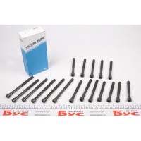 Болти головки (к-кт 18шт.) MB OM616